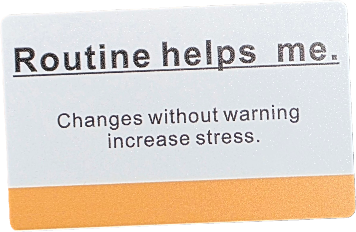 Neurodiversity flip cards (pack of 12)