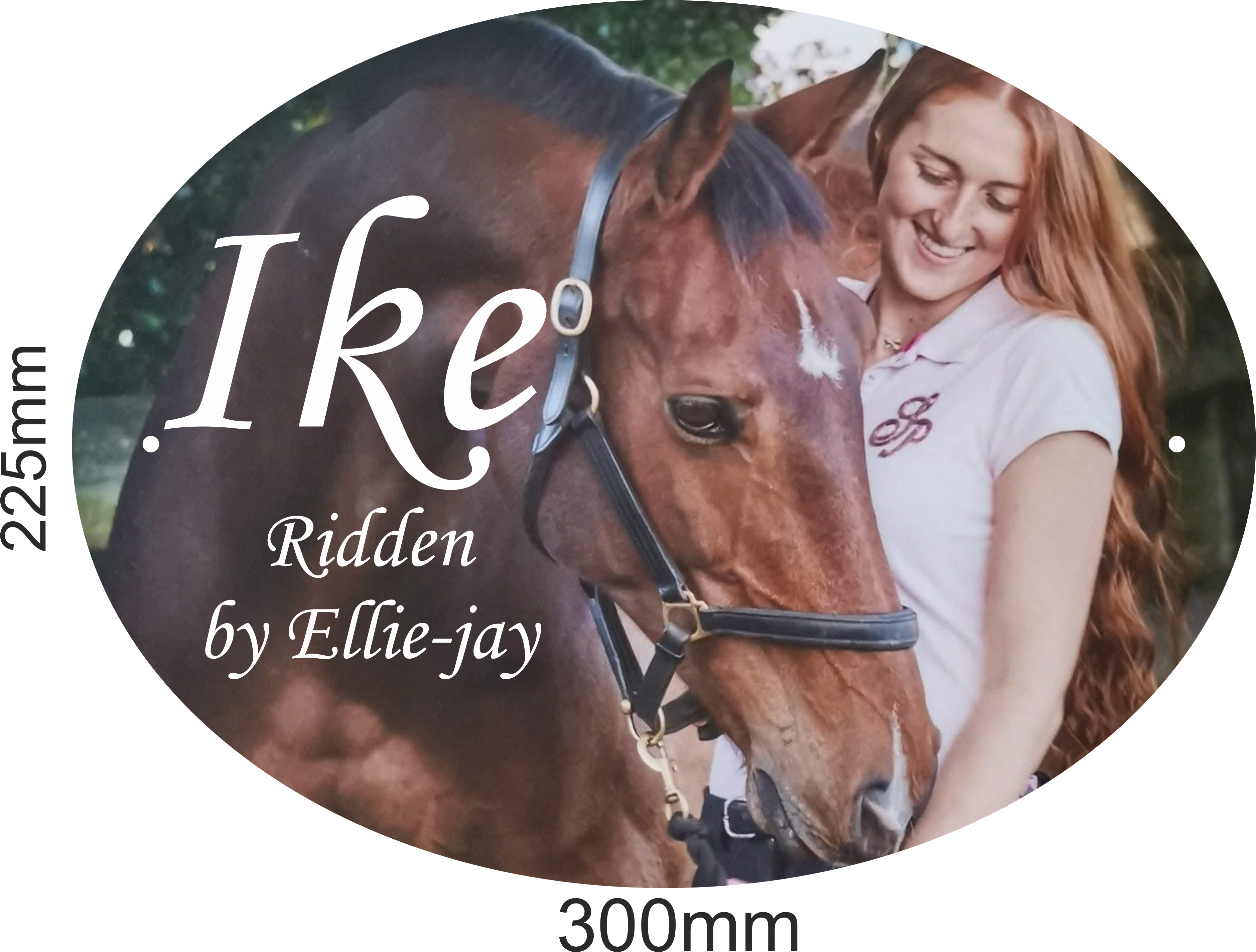 custom stable signs